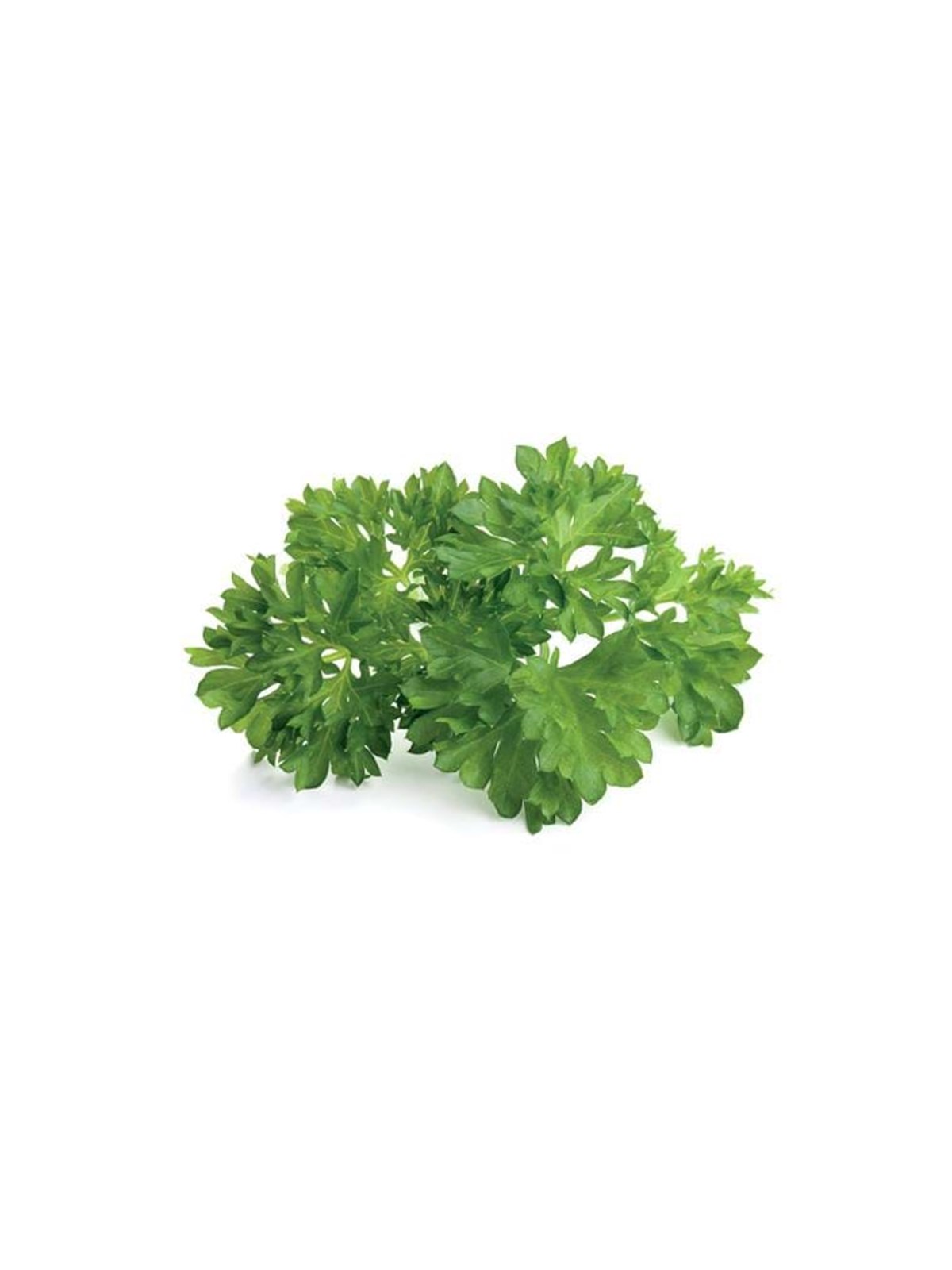 Click & Grow Smart Garden Refill 3-pack - Parsley, Smart Home