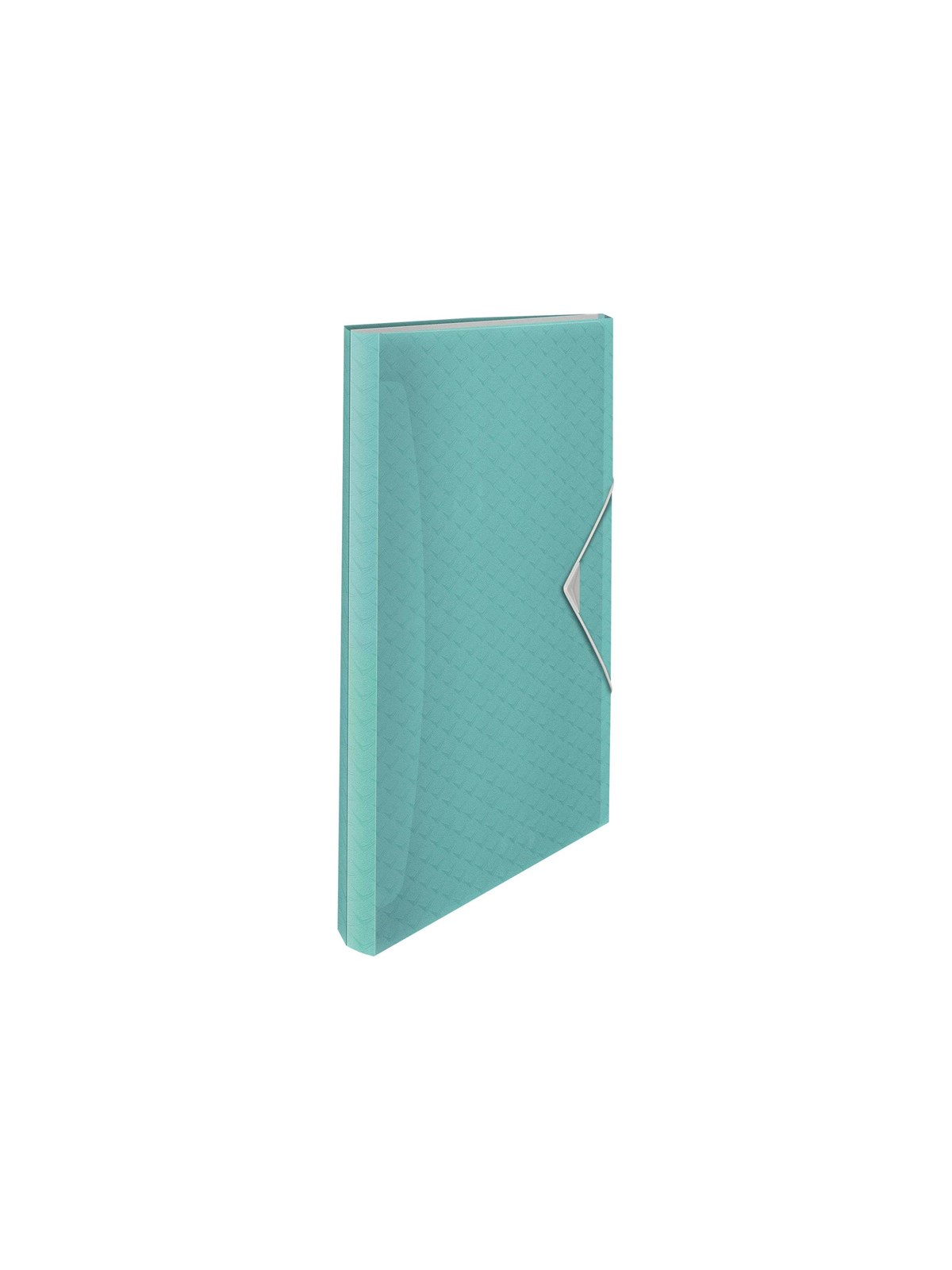 Esselte Colour'Breeze ekspanderende projektmappe Blå, Mappe