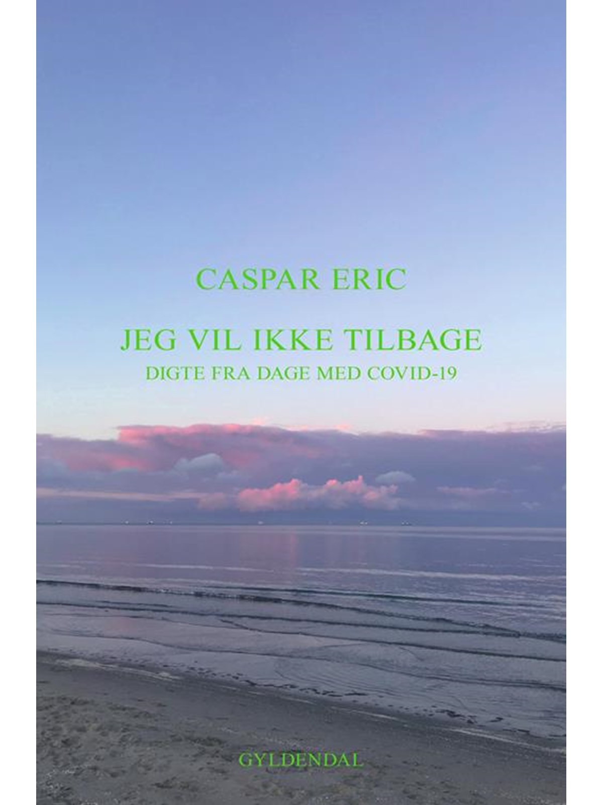 Jeg vi ikke tilbage - Digte - Hæftet, Digte