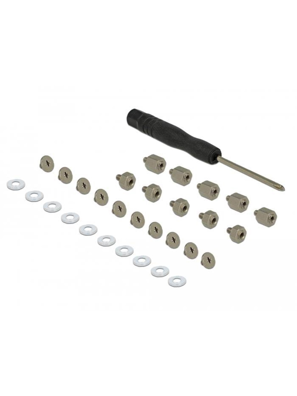 DeLOCK M.2 SSD Screwkit, Lagringstilbehør