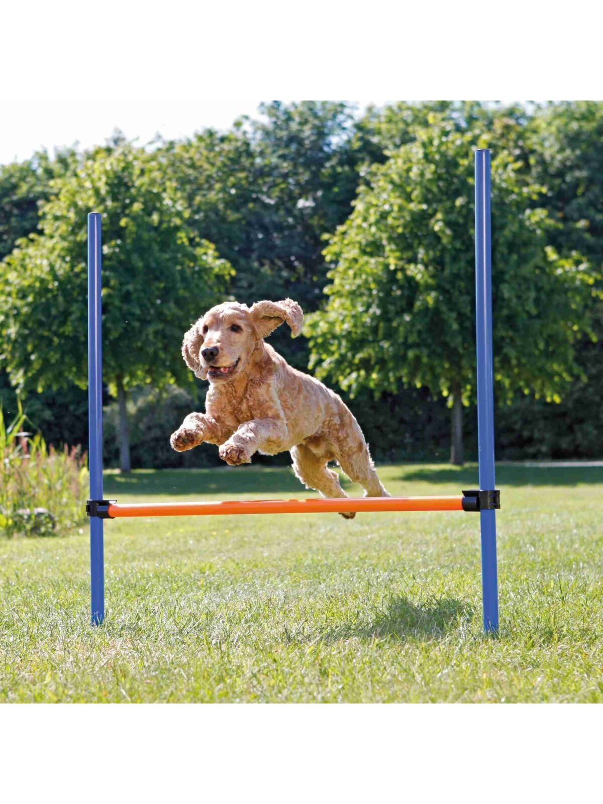 Trixie Dog Fun Agility Hurdle 123x115cm, Hundeudstyr