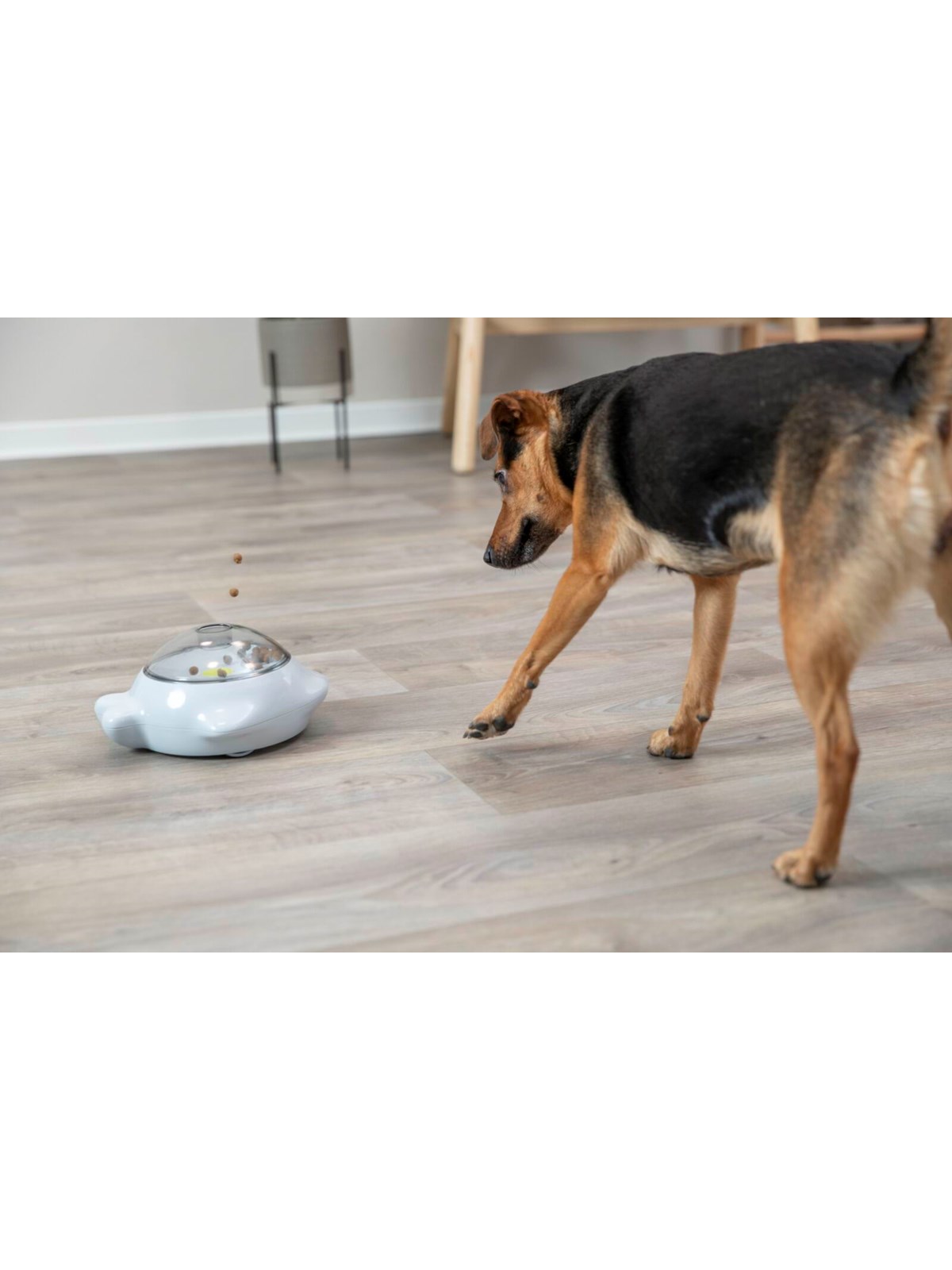 Trixie Snack Popper, Hundeudstyr