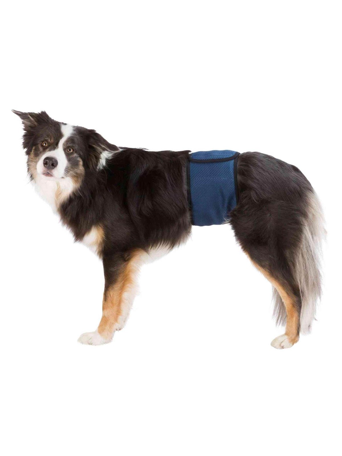 Trixie Washable Nappies for Male Dogs XL Waist 65-75cm, Hundeudstyr