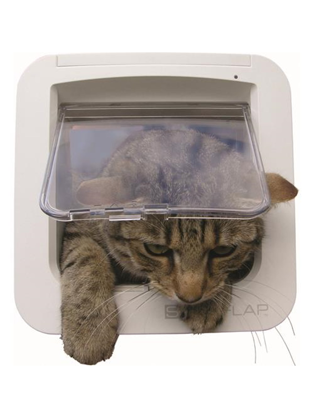 Sureflap Microchip Kattelem, Katteudstyr