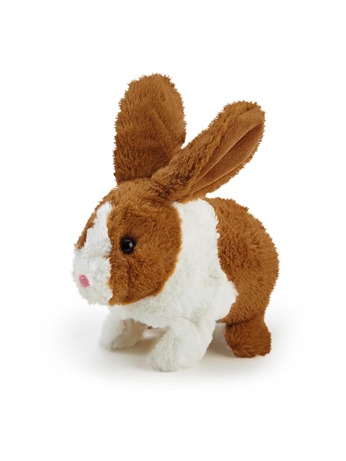 Happy Pets Happy Hoppy Kanin, Bamser