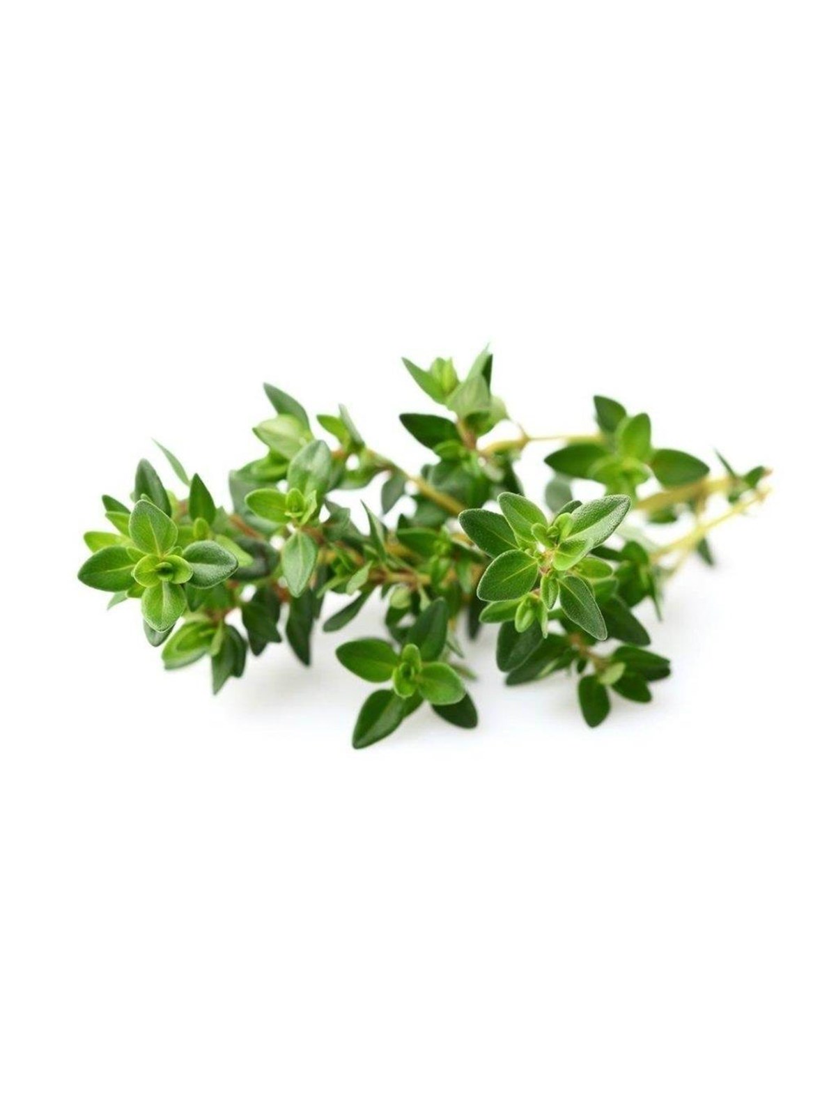 Click & Grow Smart Garden Refill 3-pack - Thyme, Smart Home