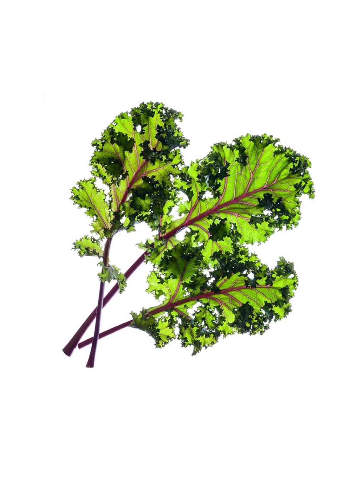 Click & Grow Smart Garden Refill 3-pack - Red Kale, Smart Home