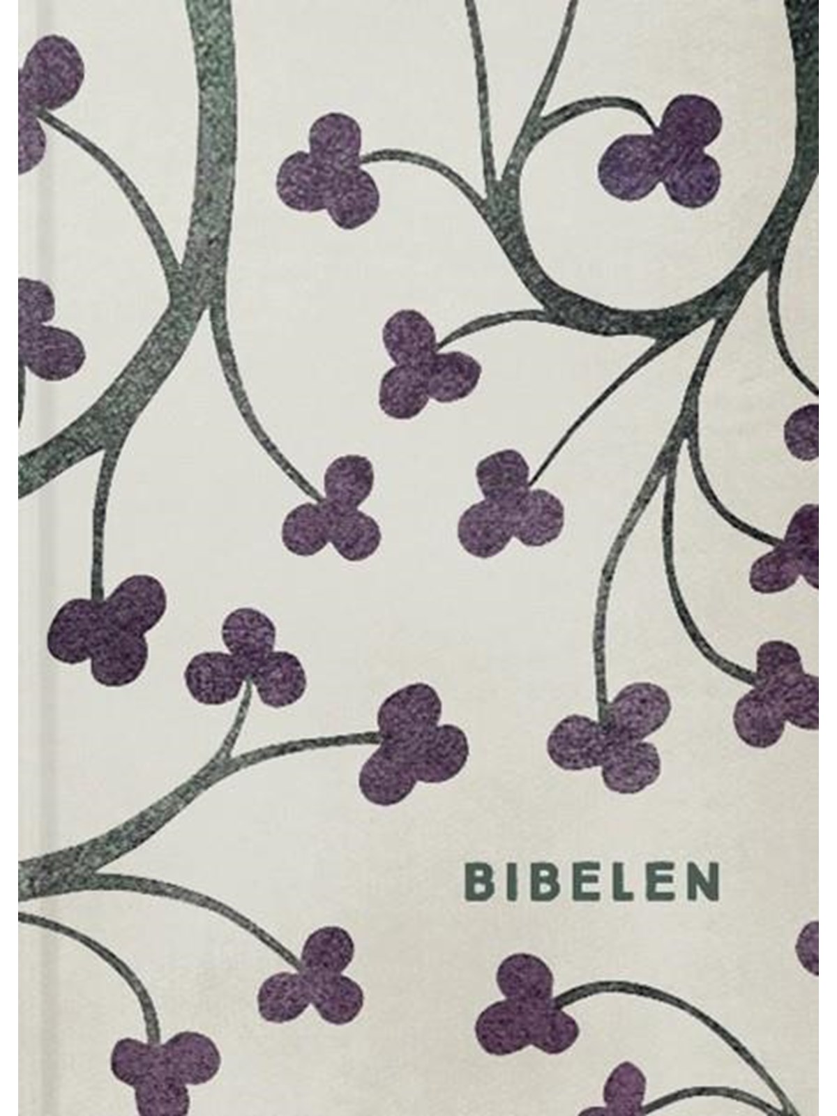 Bibelen med apokryfer - Religion & Filosofi - Hardcover, Religion Filosofi