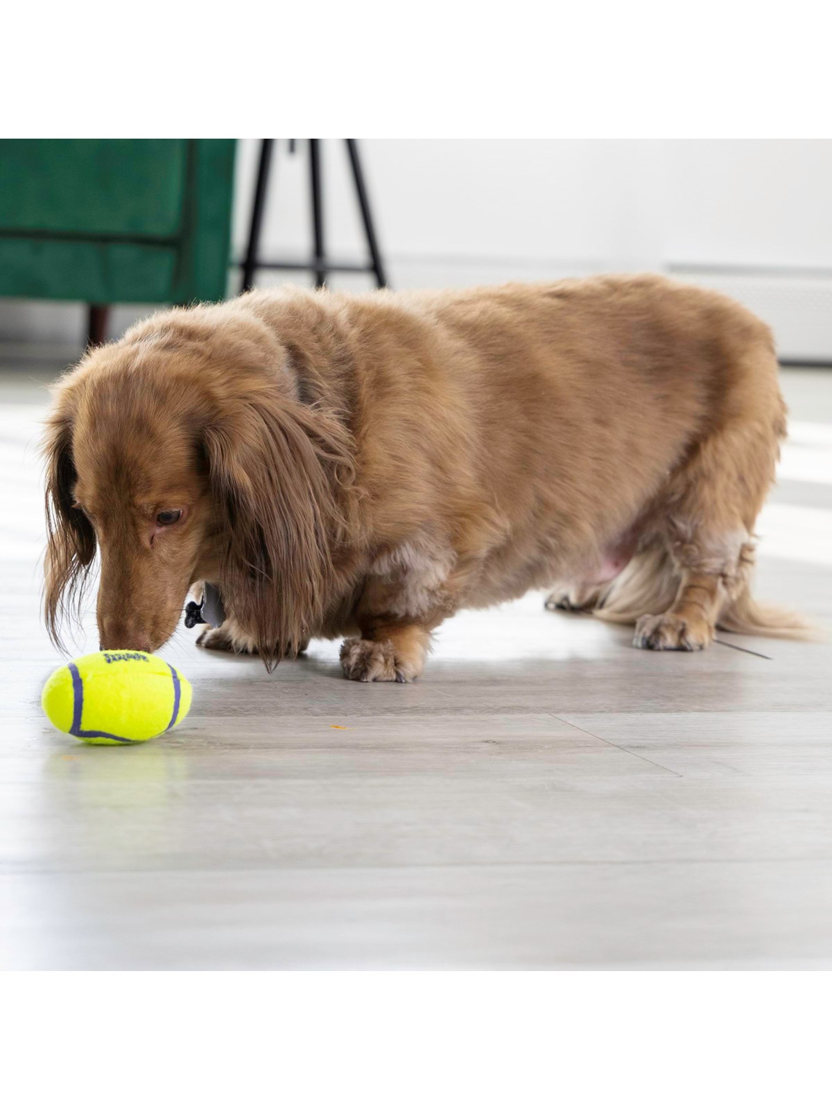 KONG Hundelegetøj AirDog Squeaker Football Small 8cm, Hundeudstyr