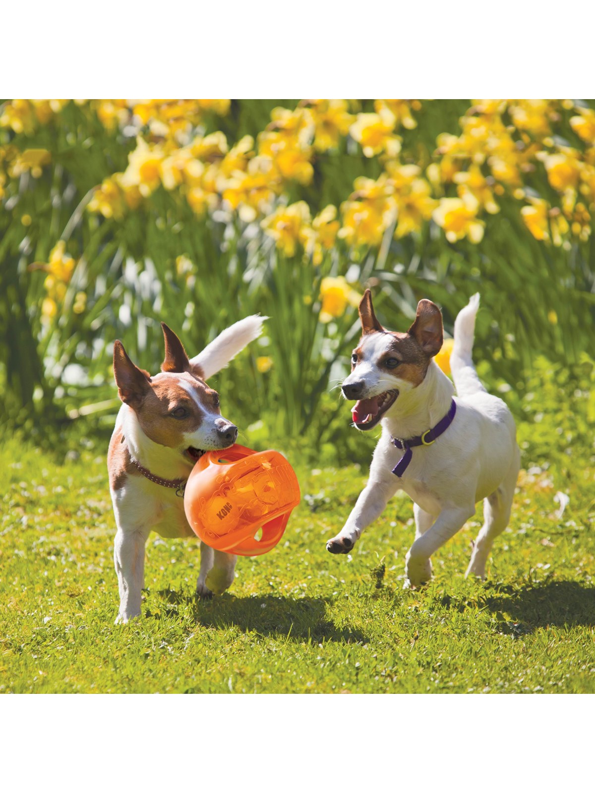 KONG Dog Toy Jumbler Ball Medium/Large 14cm, Hundeudstyr