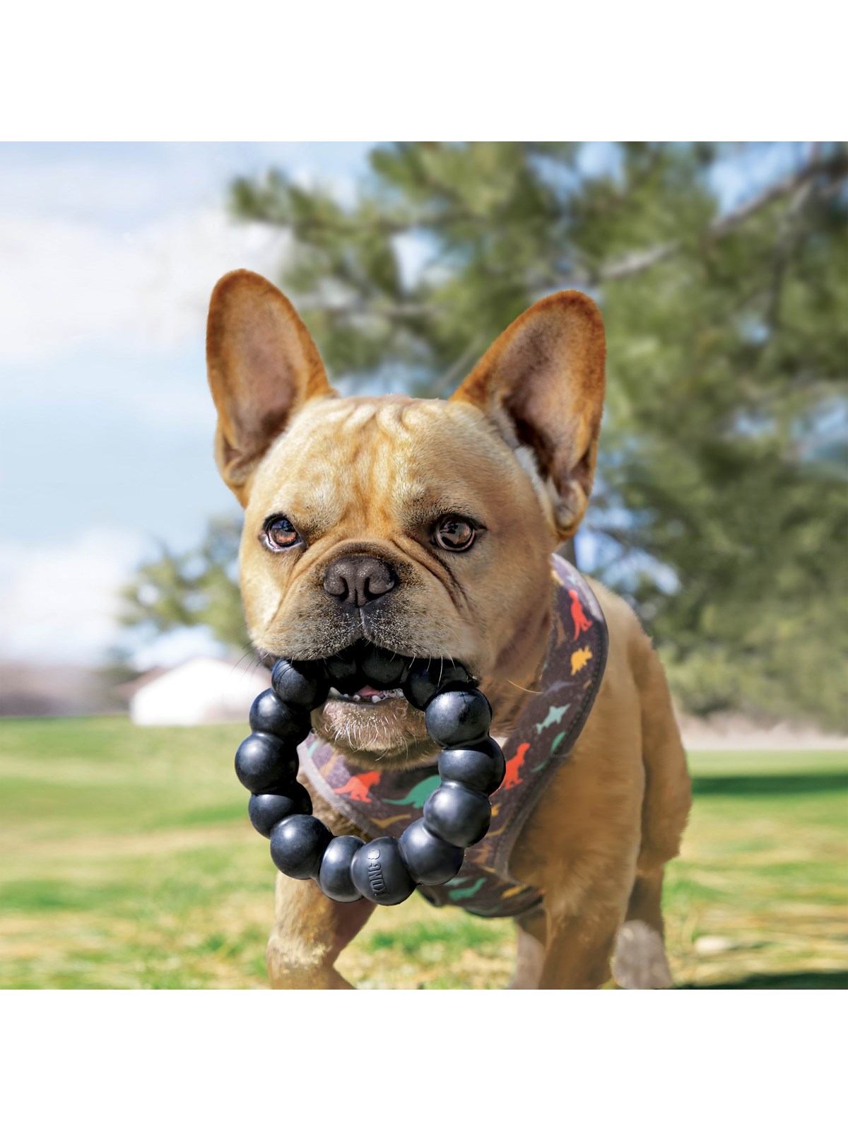 KONG Dog Toy Extreme Ring XL 13cm, Hundeudstyr