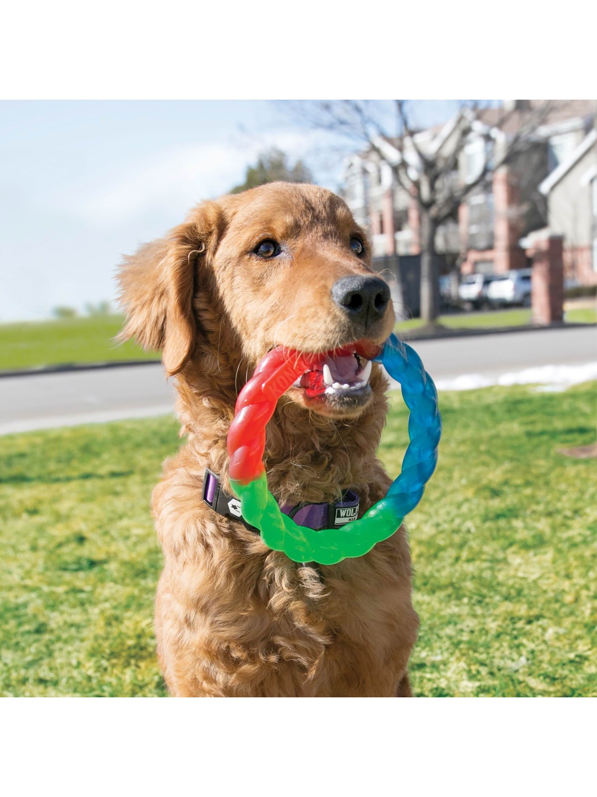 KONG Dog Toy Twistz Ring Small 17cm, Hundeudstyr