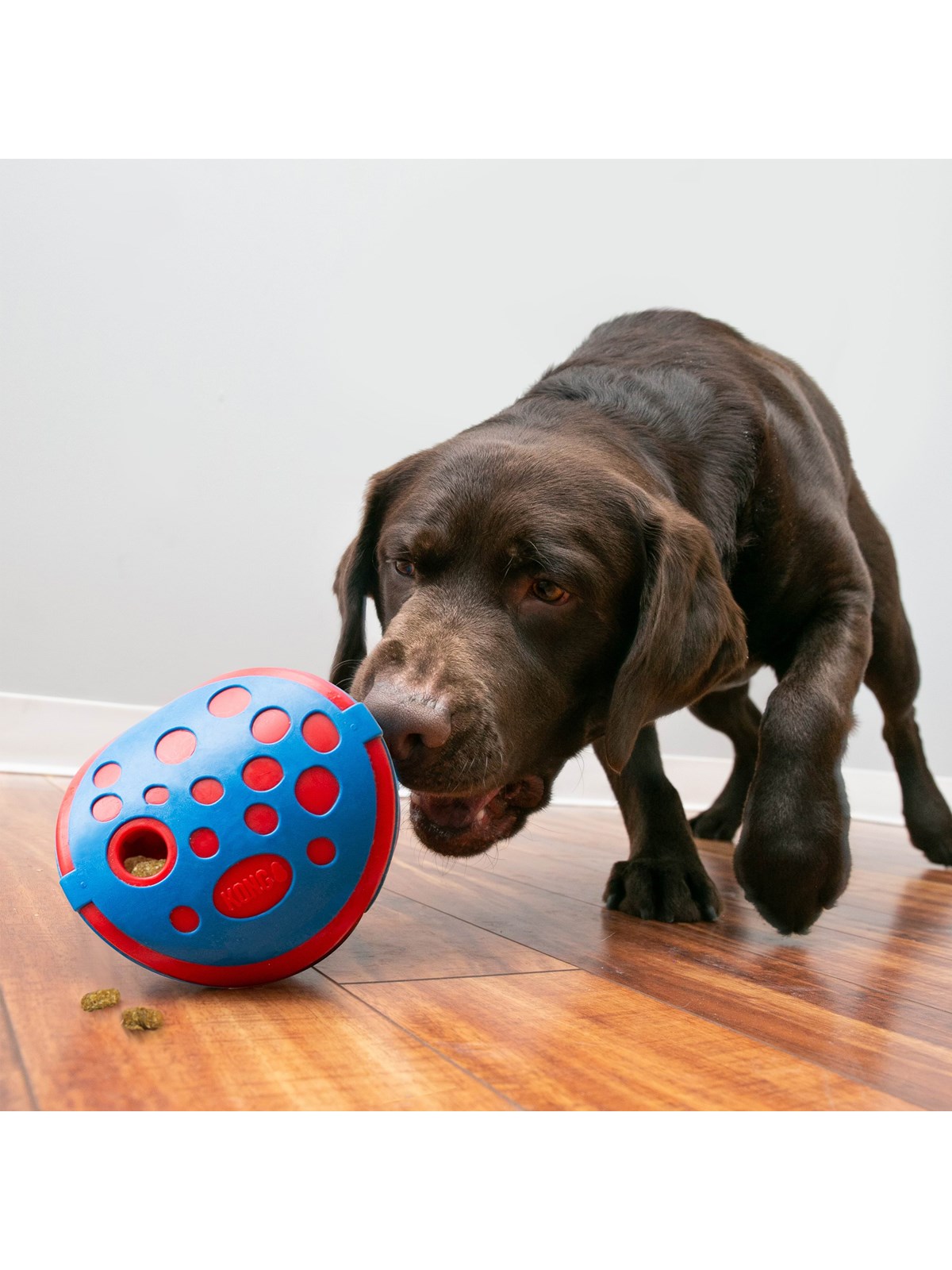 KONG Aktiveringslegetøj Rewards Wally, Hundeudstyr