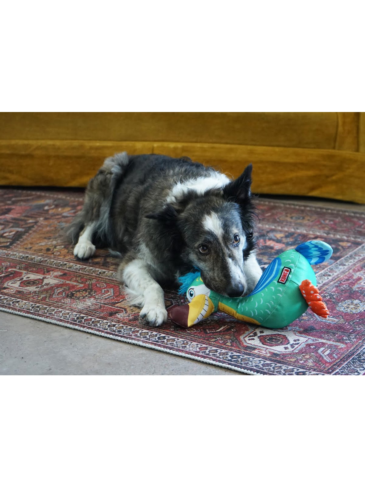 KONG Hundelegetøj Ballistic Vibez Birds Medium/Stor 26cm, Hundeudstyr