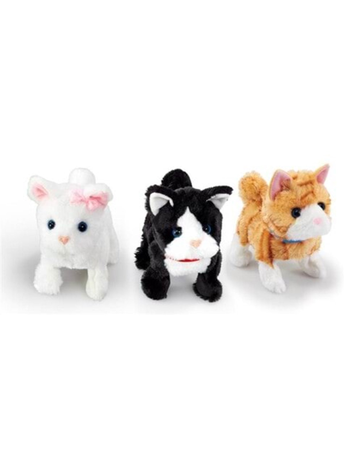 Happy Pets Pretty Little Kitty 3 (Assorted), Bamser