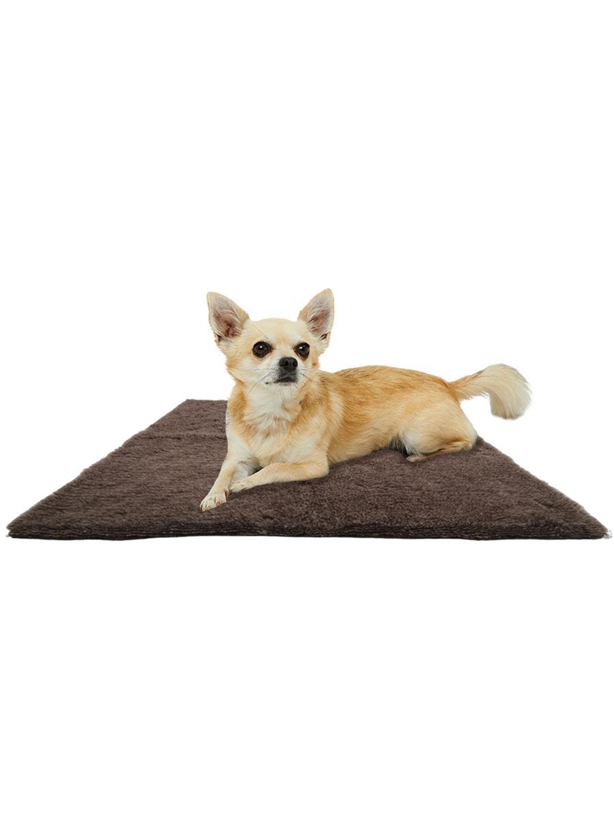 Active Canis Brown vetbed 100x150cm large, Hundeudstyr