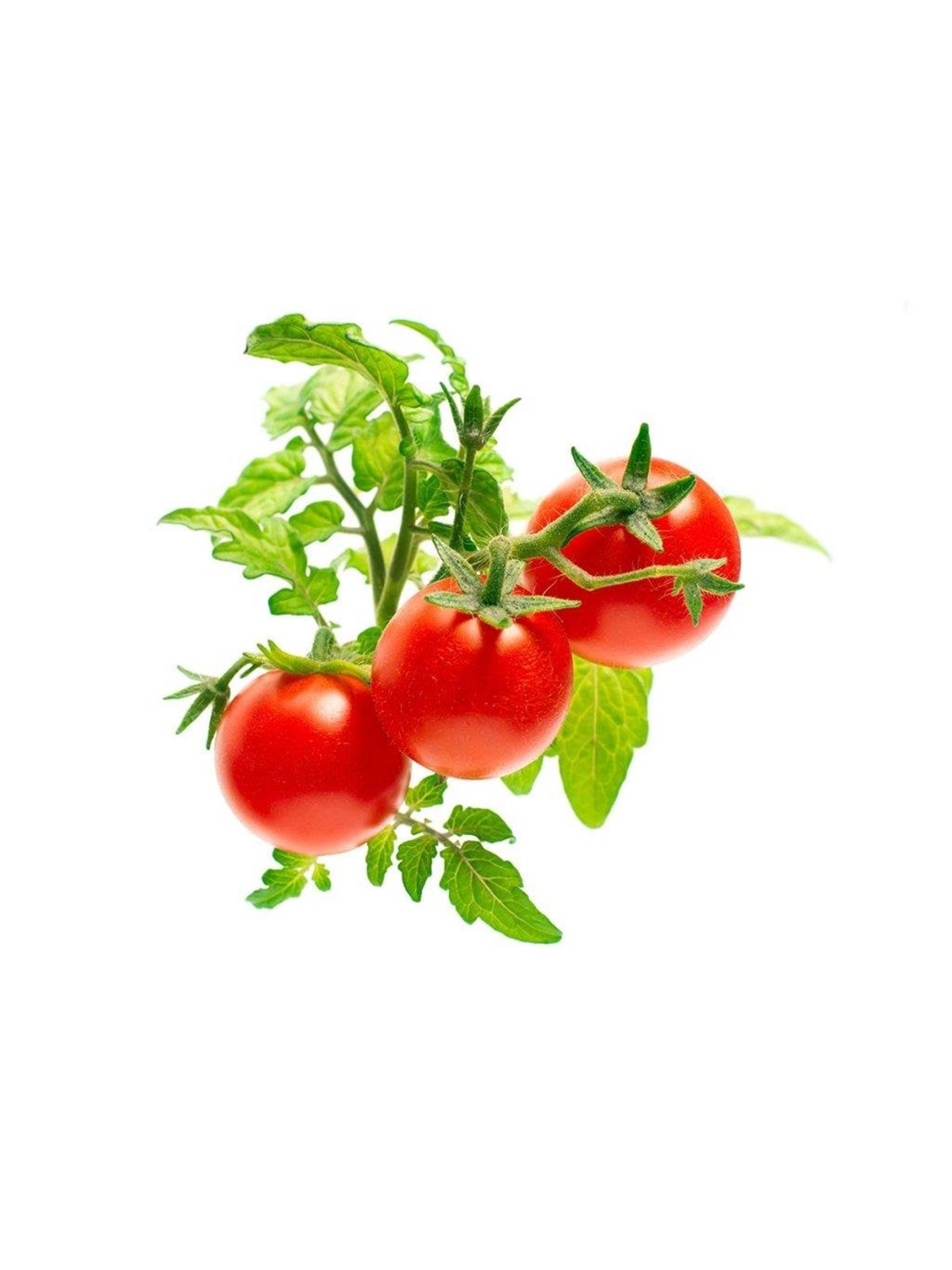 Click & Grow Click and Grow - Smart Garden Refill 3-pack - Mini Tomato (SGR5X3)
