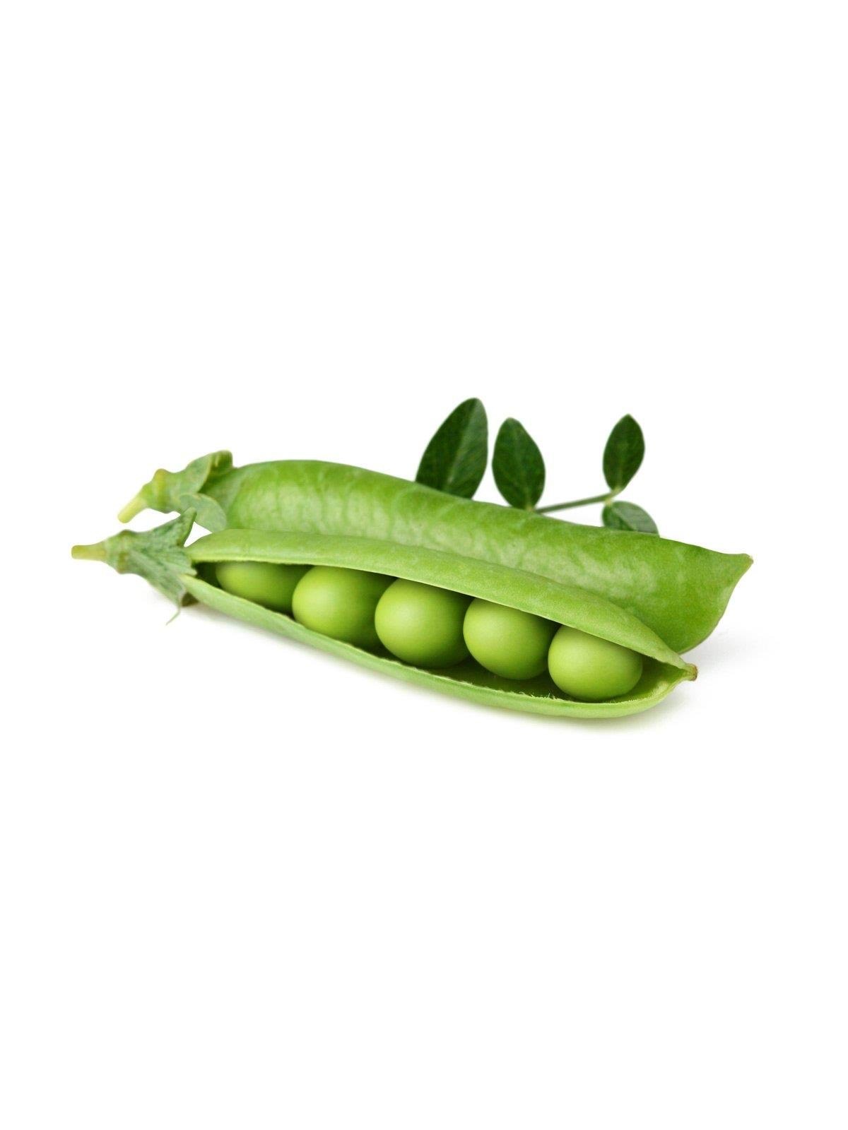 Click & Grow - Smart Garden Refill 3-pack Dwarf Pea, Smart Home