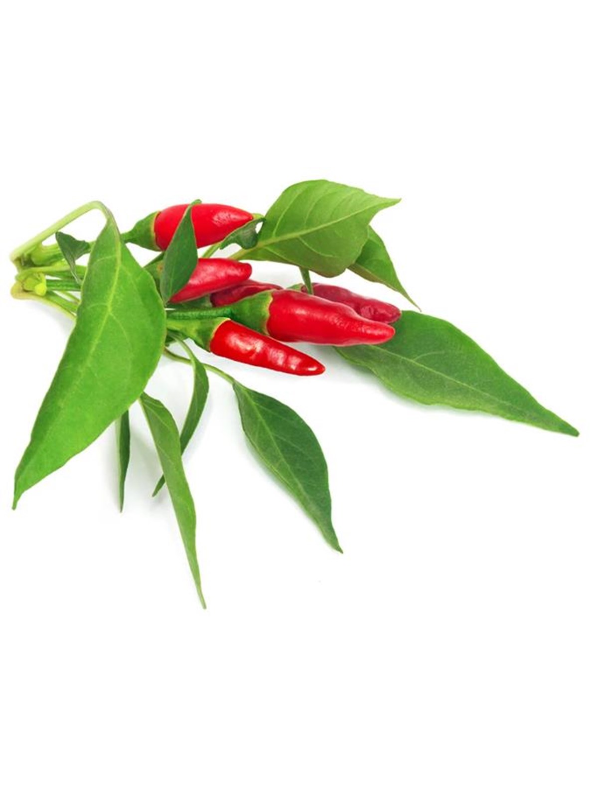 Click & Grow - Smart Garden Refill 3-pack Piri Piri, Smart Home