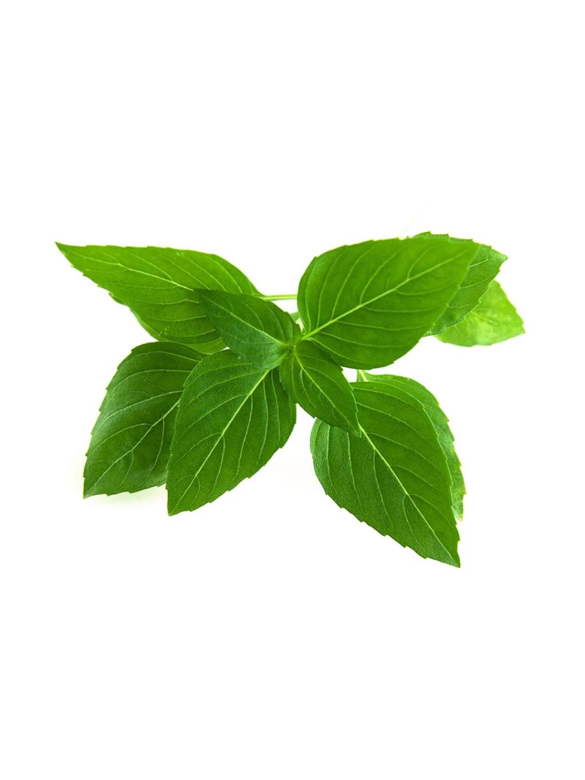 Click & Grow Click and Grow - Smart Garden Refill 3-pack Thai Basil, Smart Home