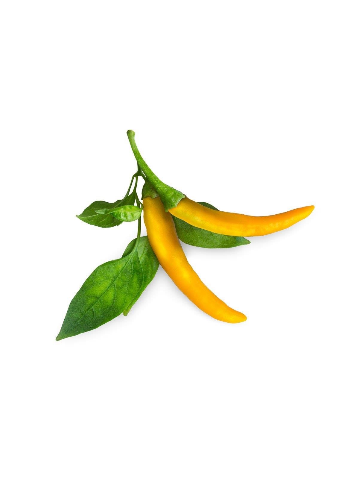 Click & Grow - Smart Garden Refill 3-pack Yellow Chili Pepper, Smart Home