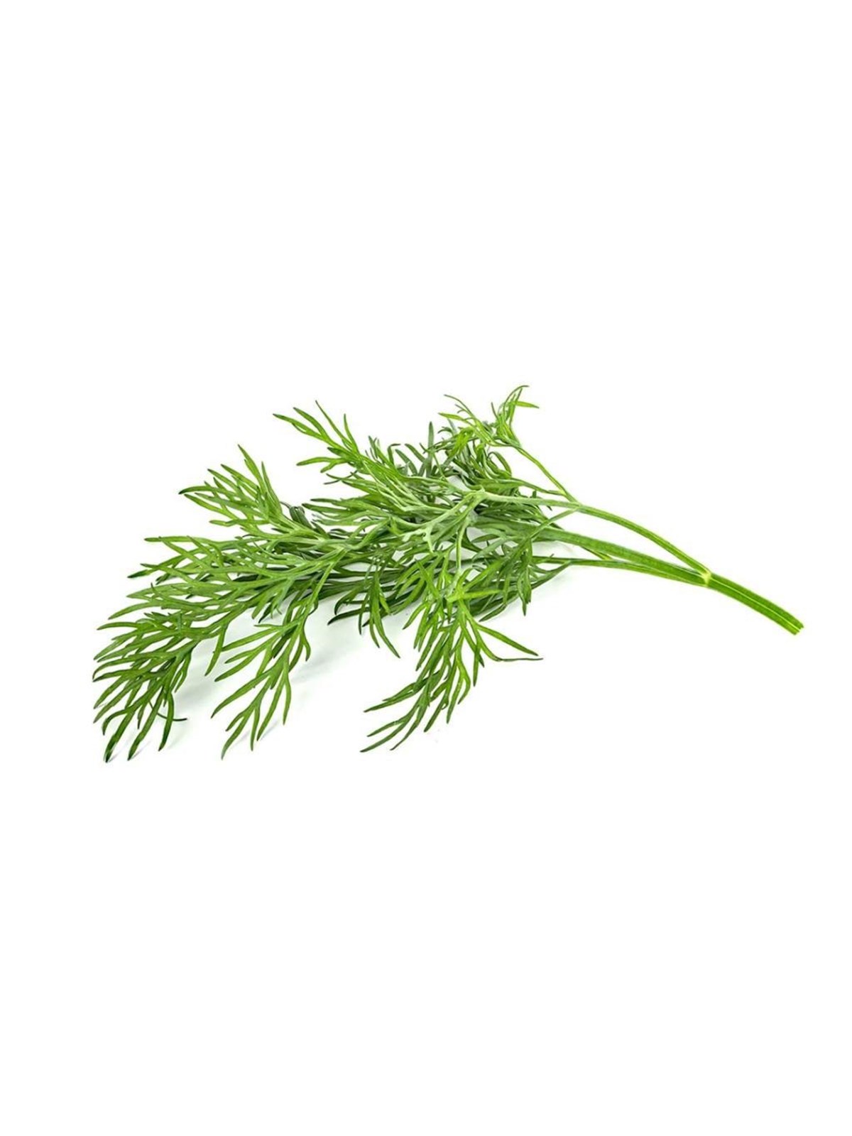 Click & Grow Click and Grow Smart Garden Refill 3-pack - Dill, Smart Home