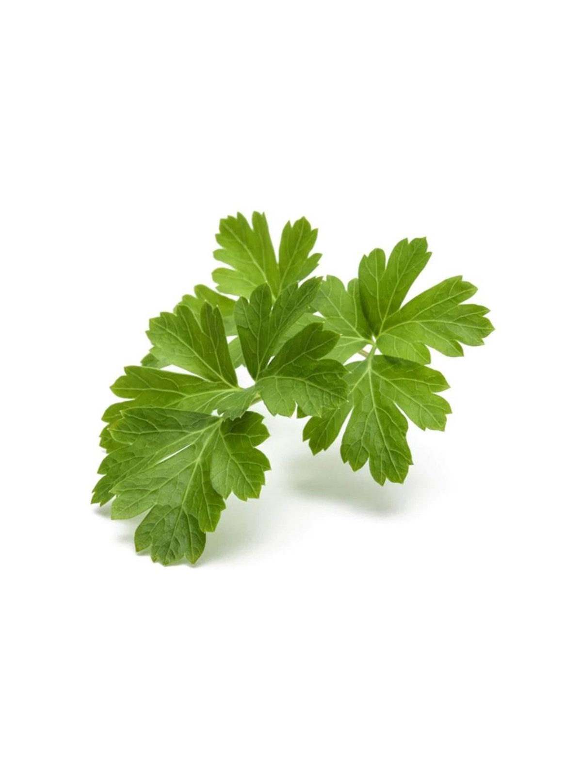 Click & Grow Click and Grow Smart Garden Refill 3-pack - Plain Parsley, Smart Home