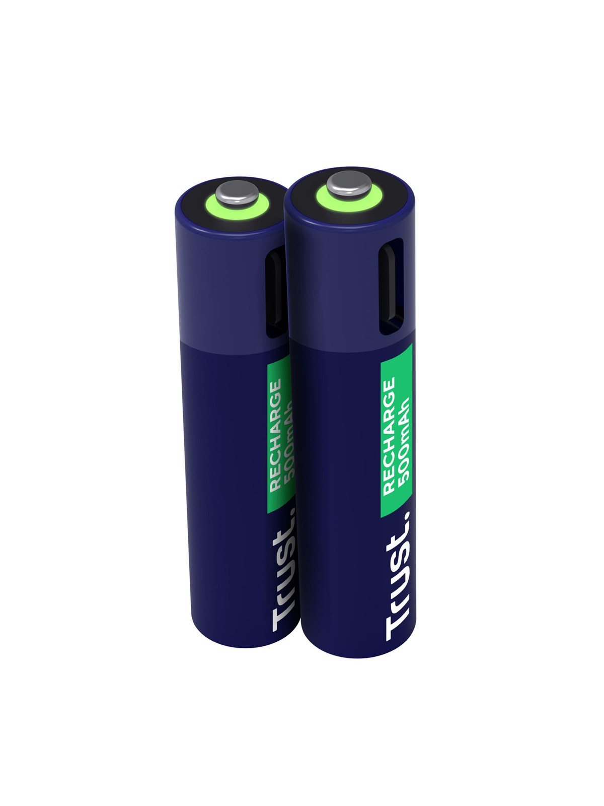 Trust 2 x åA USB-C Rechargeable, Batteri