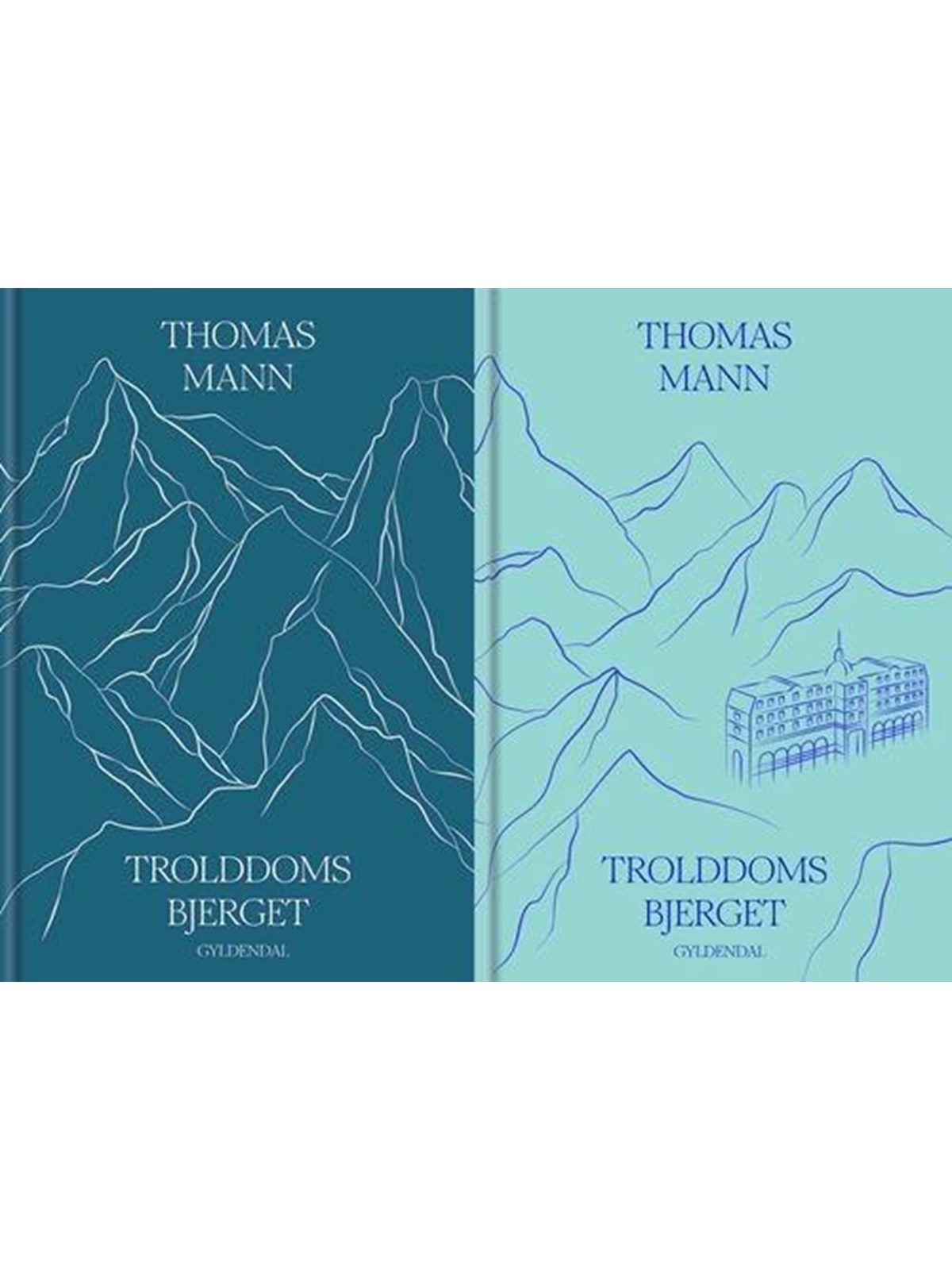Trolddomsbjerget - Skønlitteratur & Fiktion - hardcover, Skønlitteratur