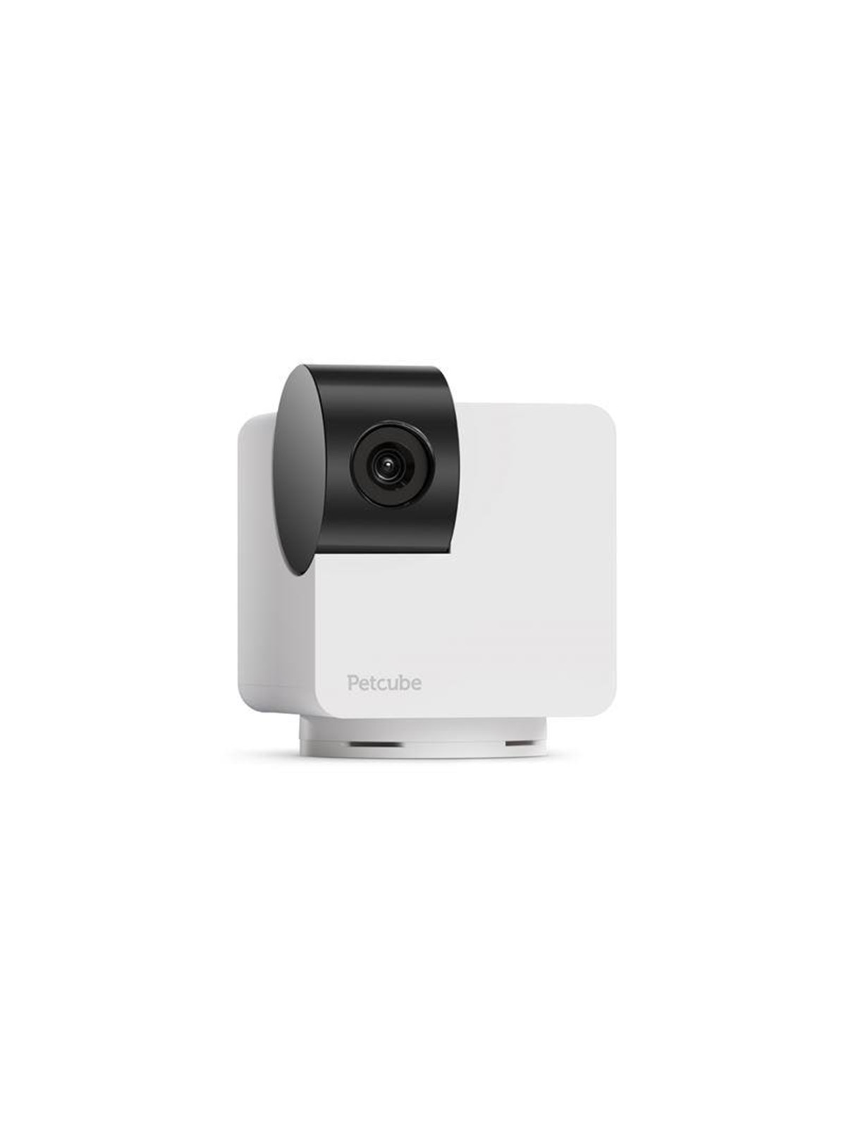 Petcube Cam 360, Hundeudstyr