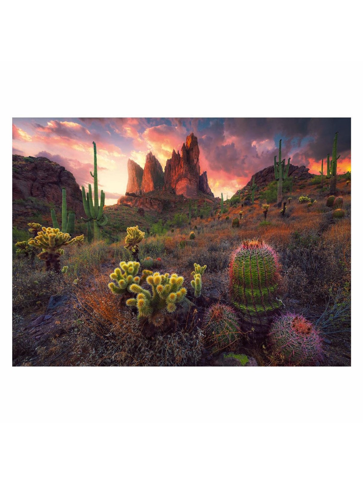 Ravensburger Jigsaw puzzle Cactus 500 pcs. Floor