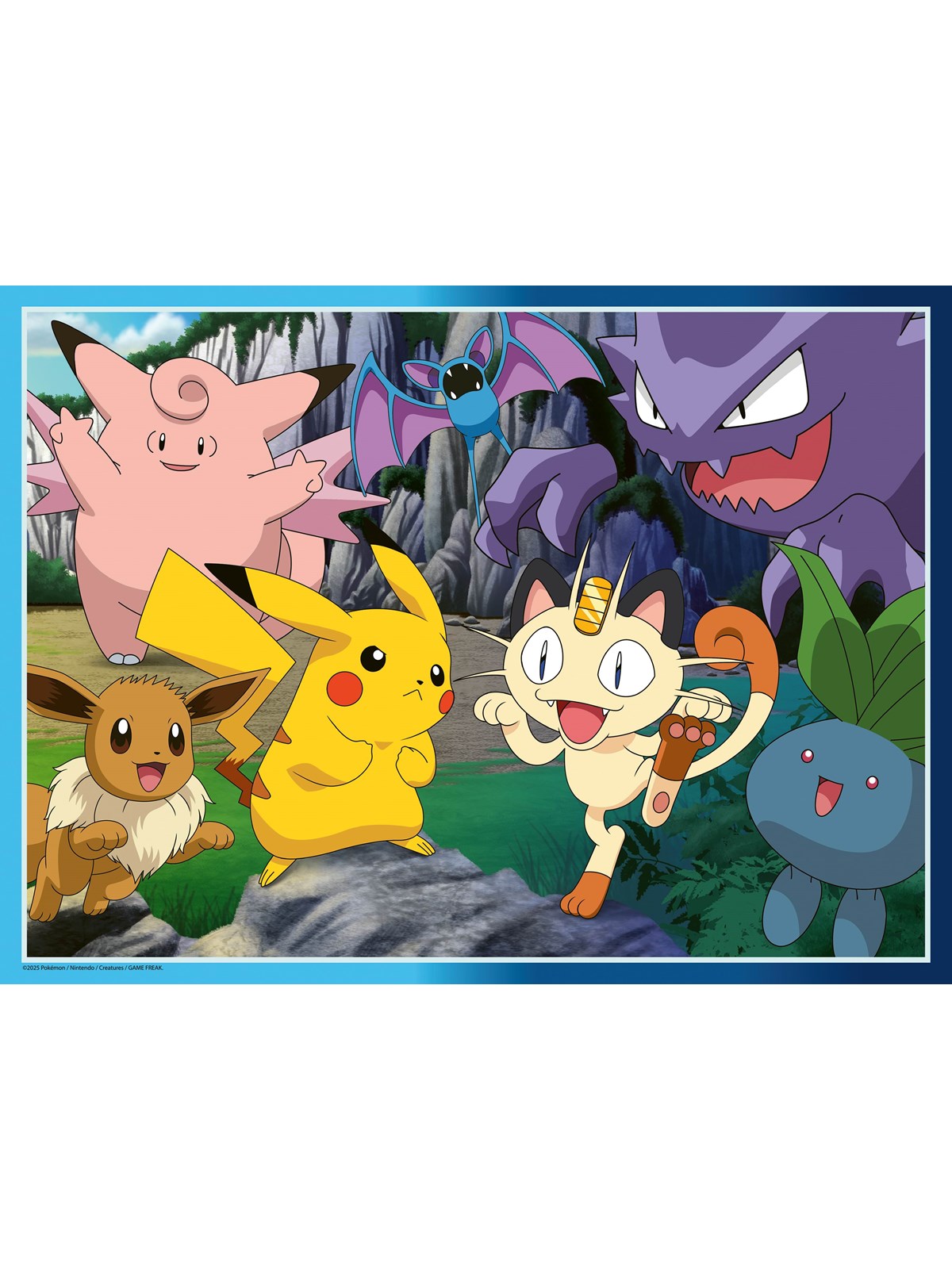 Ravensburger Pokémon 300p