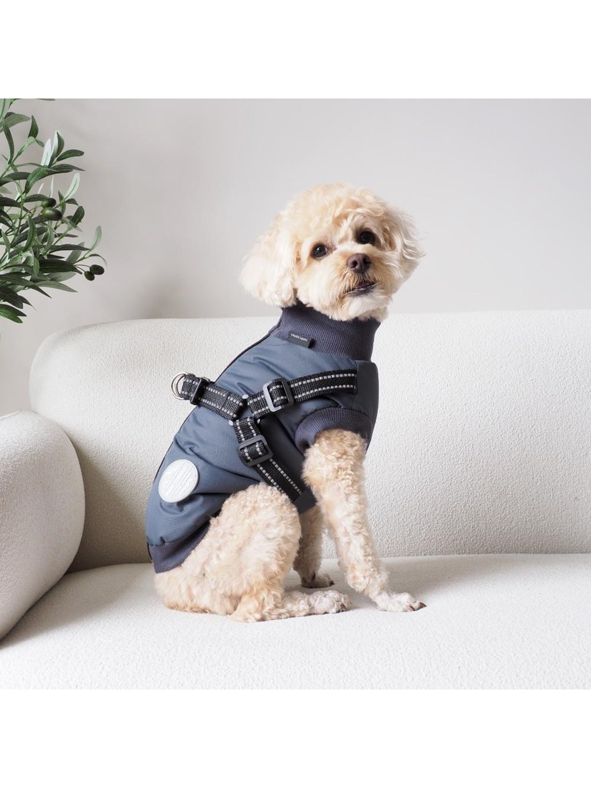 Nordic Paws - Dogcoat Thor with harness 40cm - Anthracite M, Hundeudstyr