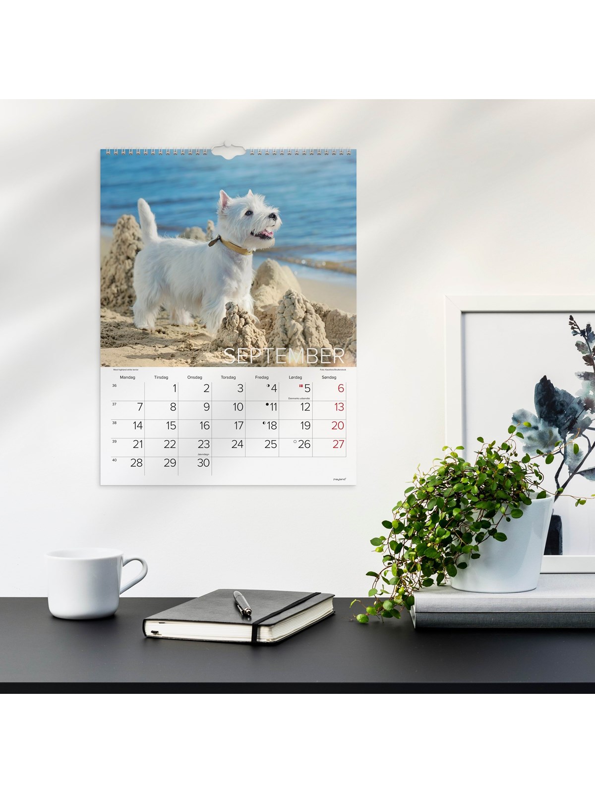 Mayland Vægkalender Hunde 2026, Kalender