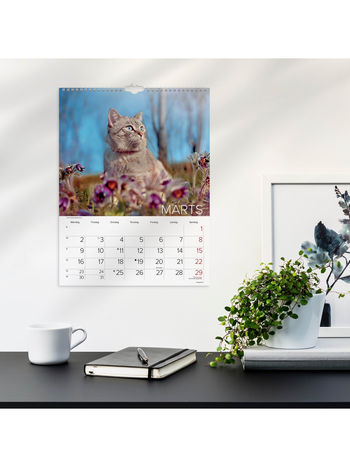 Mayland Vægkalender Katte 2026, Kalender