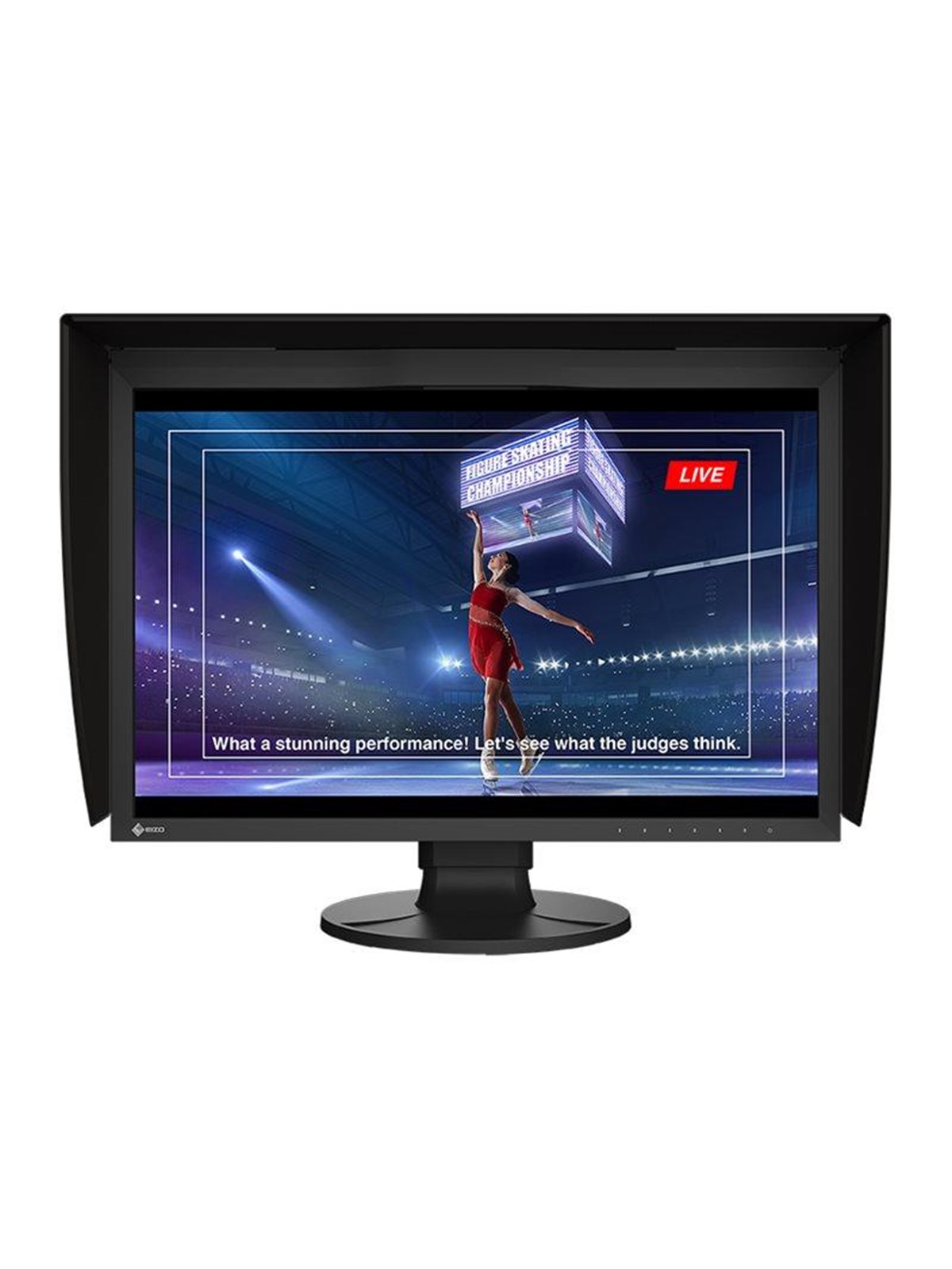 24,1" EIZO ColorEdge CG2400SV - 1920x1200 - 60Hz - IPS, Computerskærm