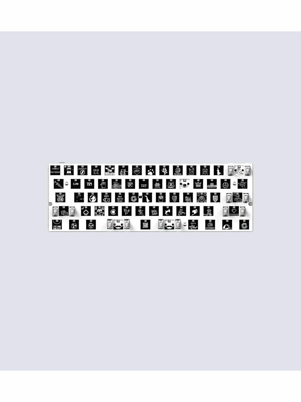 Wooting 60HE v2 Module - Split Spacebar - Keyboard Module - ANSI, Tastatur