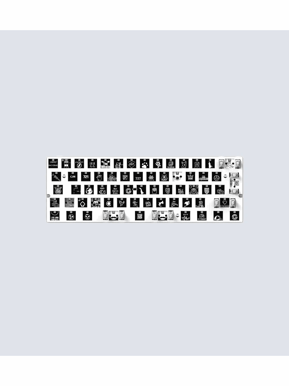 Wooting 60HE v2 Module - Split Spacebar - Keyboard Module - ISO, Tastatur