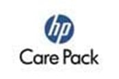 Service & support - HP eCare Pack/Instl Onsite f DAT DVD-ROM - U2090E