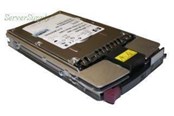 Harddisk - HP Hard Drive 146GB 10K - 146GB - Harddisk - 418399-001 - SAS - 2.5" - 418399-001