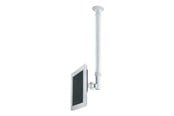 Skærmholder - Neomounts LCD loftophæng - Farve Sølv VESA 75/100 - FPMA-C100SILVER