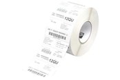 Papir, Fotopapir og Etiketter - Zebra Z Trans 5P - mat permanent selvklæ - 880026-038