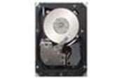 Harddisk - IBM 1TB 2.5IN SFF HS 7.2K 6GBPS - 1TB - Harddisk - 81Y9730 - SATA-600 - 2.5" - 81Y9730