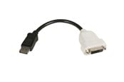 Skærmkabel - StarTech.com DisplayPort to DVI Video Converter - DP2DVI