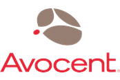 Service & support - Avocent Hardware Maintenance Silver - garantiforlængelse - 1 år - 1YSLV-ACS48PT