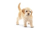 Schleich - Schleich Golden Retriever-hvalp - 16396