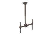 Vægbeslag, AV-Beslag & AV-Møbler - StarTech.com Ceiling TV Mount - Steel - For VESA Mount TVs 37in to 70in - Maks 50 kg - Maks størrelse 75" - FPCEILPTBSP