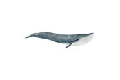 Schleich - Schleich blåhval - 14806