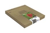 Blæk, Toner & Forbrugsstoffer - Epson Multipack 29XL EasyMail - C13T29964511