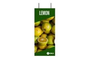 Konference & Præsentation - OKI FASTDISPLAY - 09006050